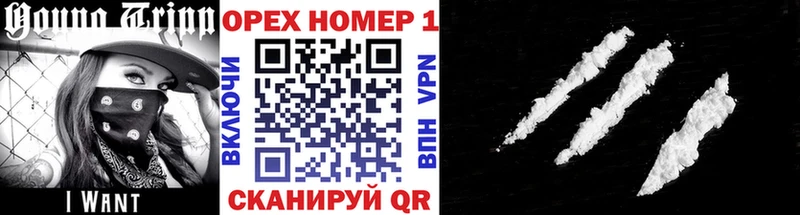 КОКАИН Fish Scale  Купить где  Сураж 
