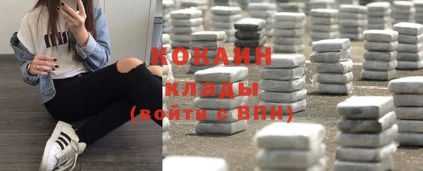 молекула духа Белокуриха