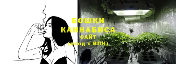 ГАЛЛЮЦИНОГЕННЫЕ ГРИБЫ Белоозёрский