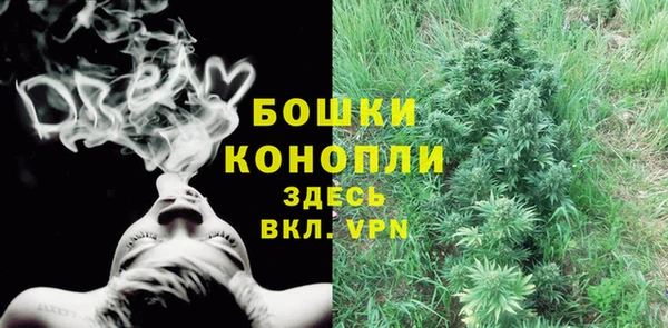 ГАЛЛЮЦИНОГЕННЫЕ ГРИБЫ Белоозёрский
