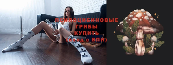 ГАЛЛЮЦИНОГЕННЫЕ ГРИБЫ Белоозёрский