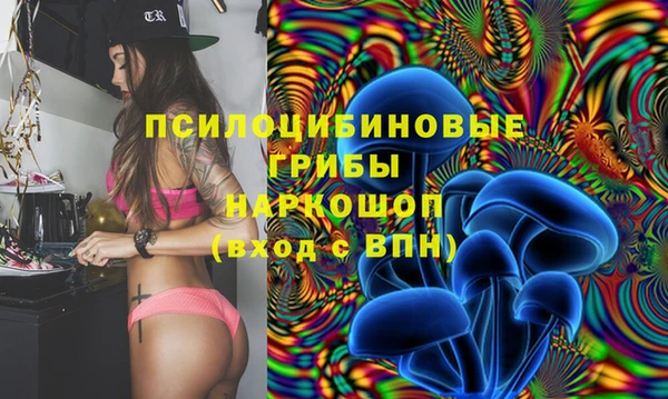 ГАЛЛЮЦИНОГЕННЫЕ ГРИБЫ Белоозёрский