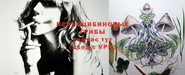 ГАЛЛЮЦИНОГЕННЫЕ ГРИБЫ Белоозёрский